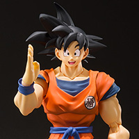 SON GOKU -A SAIYAN RAISED ON EARTH-