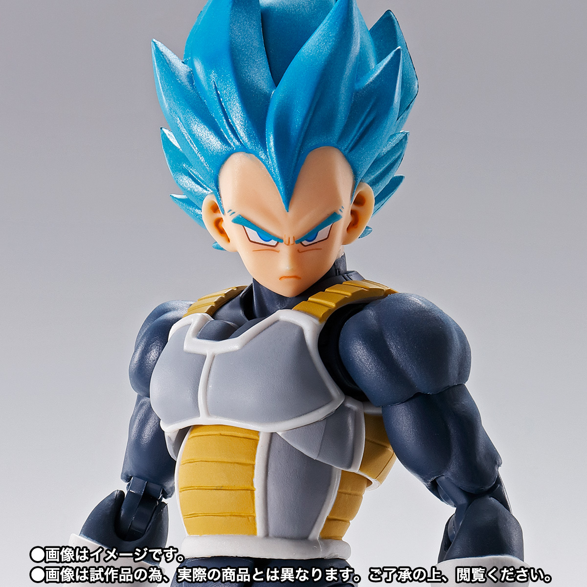 S.H.Figuarts SUPER SAIYAN GOD SUPER SAIYAN VEGETA- SUPER- -S.H.Figuarts 15th anniversary Ver.-