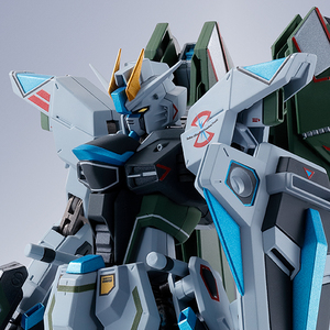 METAL ROBOT SPIRITS <SIDE MS> FREEDOM GUNDAM (Real Type Color)