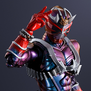 S.H.Figuarts (SHINKOCCHOU SEIHOU) MASKED RIDER HIBIKI SHINKOCCHOU SEIHOU 10th Anniversary Ver.